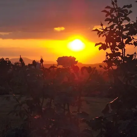 Alloggio per agriturismo Giulia